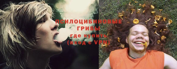 дмт Армянск