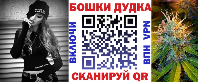 Бошки марихуана Amnesia  Бологое 